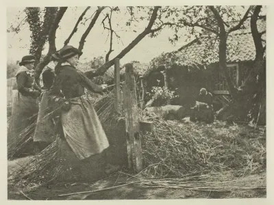 Osier-Peeling (Norfolk)
