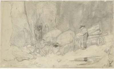 Ossenwagen op bergweg