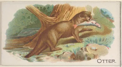 Otter, from the Quadrupeds series (N21) for Allen & Ginter Cigarettes