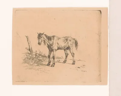Oud paard