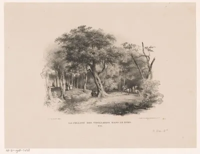 Oude mannenberg in het Haagse Bos