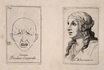 Outline of a face in extreme pain (left); a woman's head, showing admiration