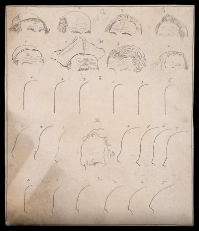 Outlines and designs of foreheads, showing their wrinkles and contours