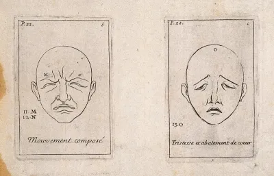 Outlines of faces making mixed and contrary muscular movements (left) and sadness and dejection (right)