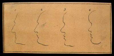 Outlines of faces: the left-hand pair expressing good judgment, the right-hand pair weakness of mind