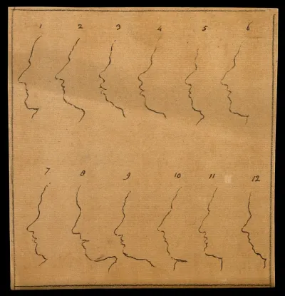Outlines of twelve faces in profile