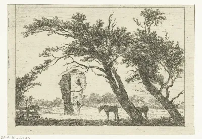 Overblijfselen van het huis van Gerard van Velsen