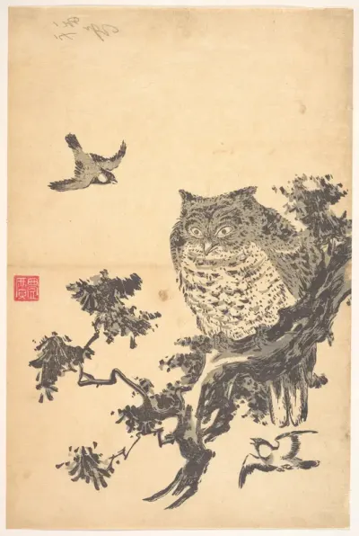 Owl and Two Swallows
