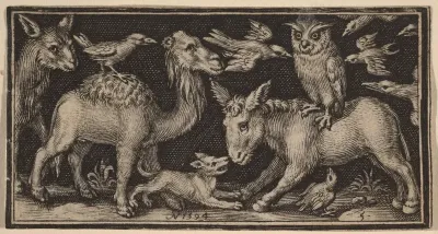 Owl on Back of Donkey, Bird on Back of Camel with Other Animals