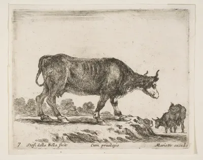 Ox, plate 7 from "Various Animals" (Diversi Animali)