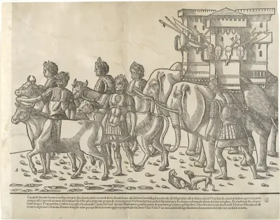 Oxen and elephants, from "The Triumph of Caesar"