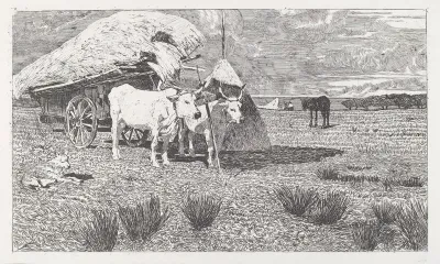 Oxen Yoked to a Cart (Maremma) (Bovi al carro (Maremma))