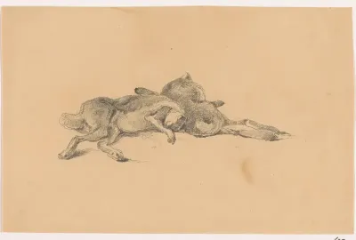 Paar geschoten hazen