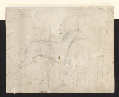 Paard