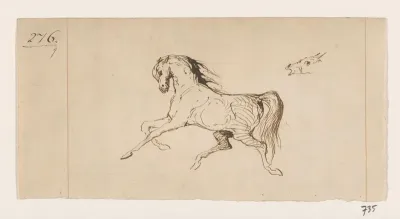 Paard