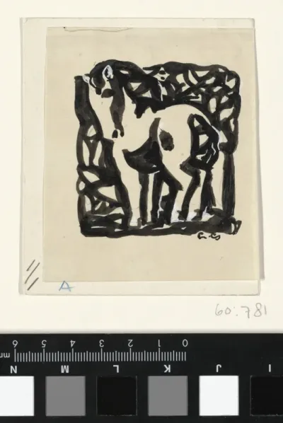 Paard