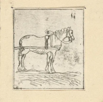 Paard