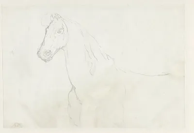 Paard