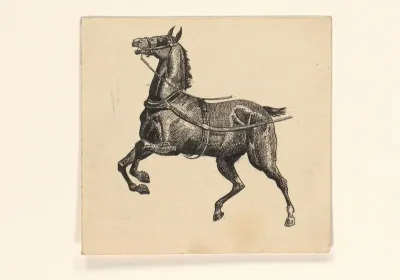 Paard
