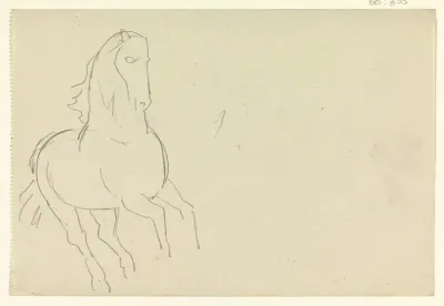 Paard