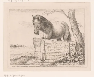 Paard achter een houten schot