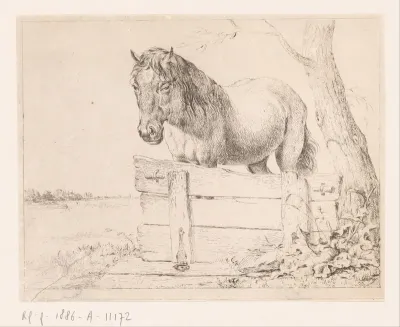 Paard achter een houten schot