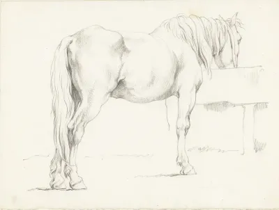 Paard bij een drinkbak