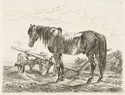 Paard bij een ploeg