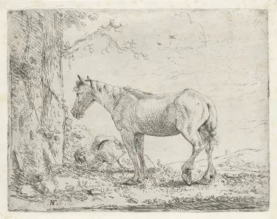 Paard bij twee bomen