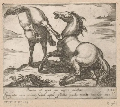 Paard een ander paard schoppend