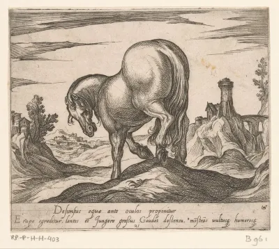 Paard een heuveltje aflopend van achteren gezien