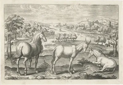 Paard en ezels