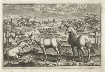 Paard en ezels