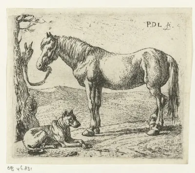 Paard en hond in een weide