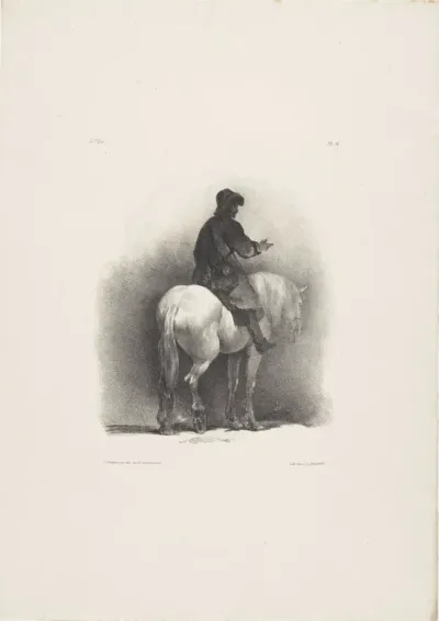 Paard en ruiter
