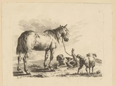 Paard en twee honden