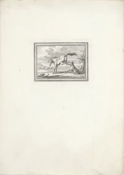 Paard en wolf