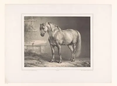 Paard in een stal