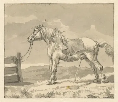 Paard in een weiland dat aan een hek gebonden is