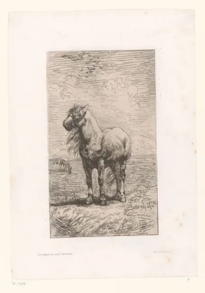 Paard in landschap