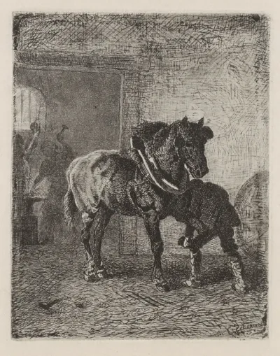 Paard krijgt hoefijzers in een smederij