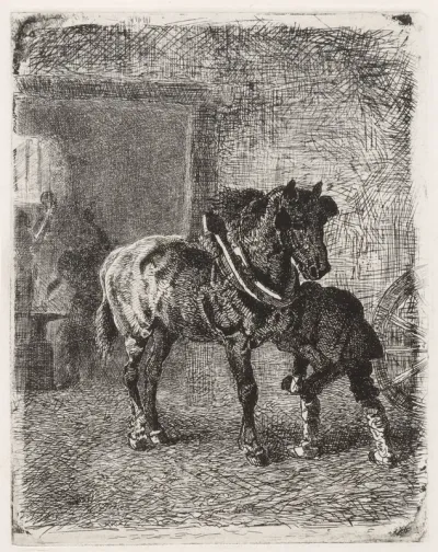 Paard krijgt hoefijzers in een smederij