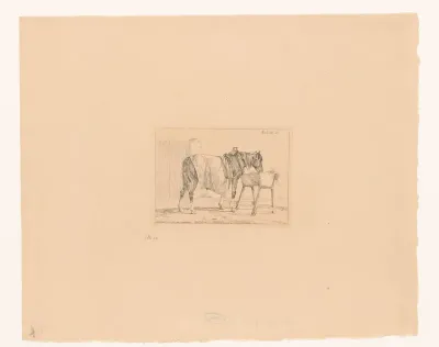Paard met dek bij een voederbak