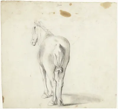 Paard met geknoopte staart, van achteren