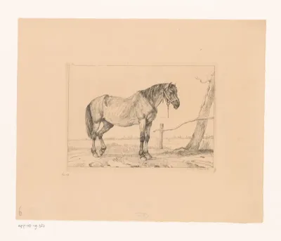 Paard met halster bij een boom
