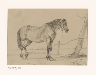 Paard met halster bij een boom