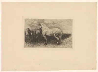 Paard met halster bij een hek