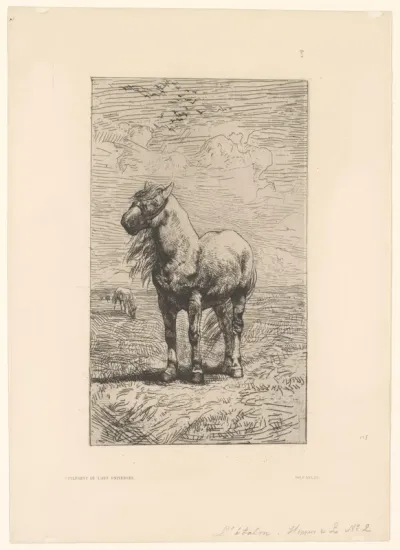 Paard met halster in een landschap
