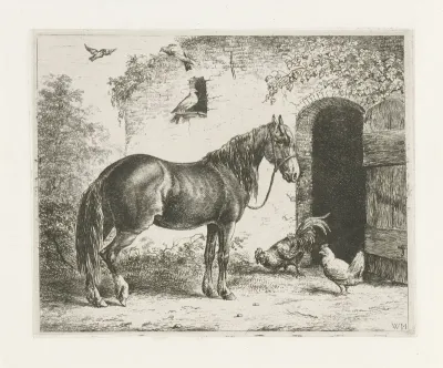 Paard met halster
