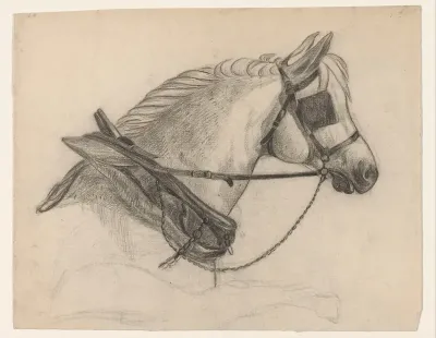 Paard met oogkleppen